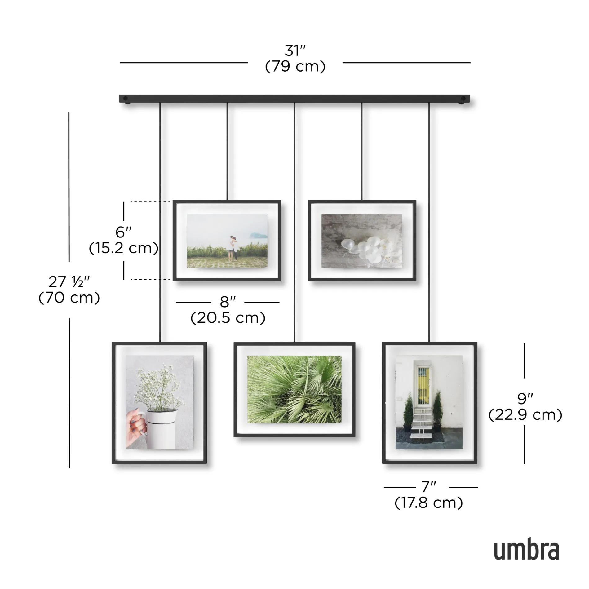 Exhibit Wall Picture Frames, Set of 5