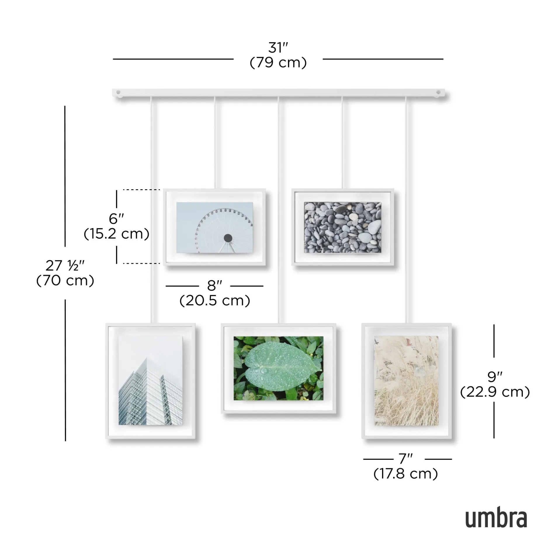 Exhibit Wall Picture Frames, Set of 5