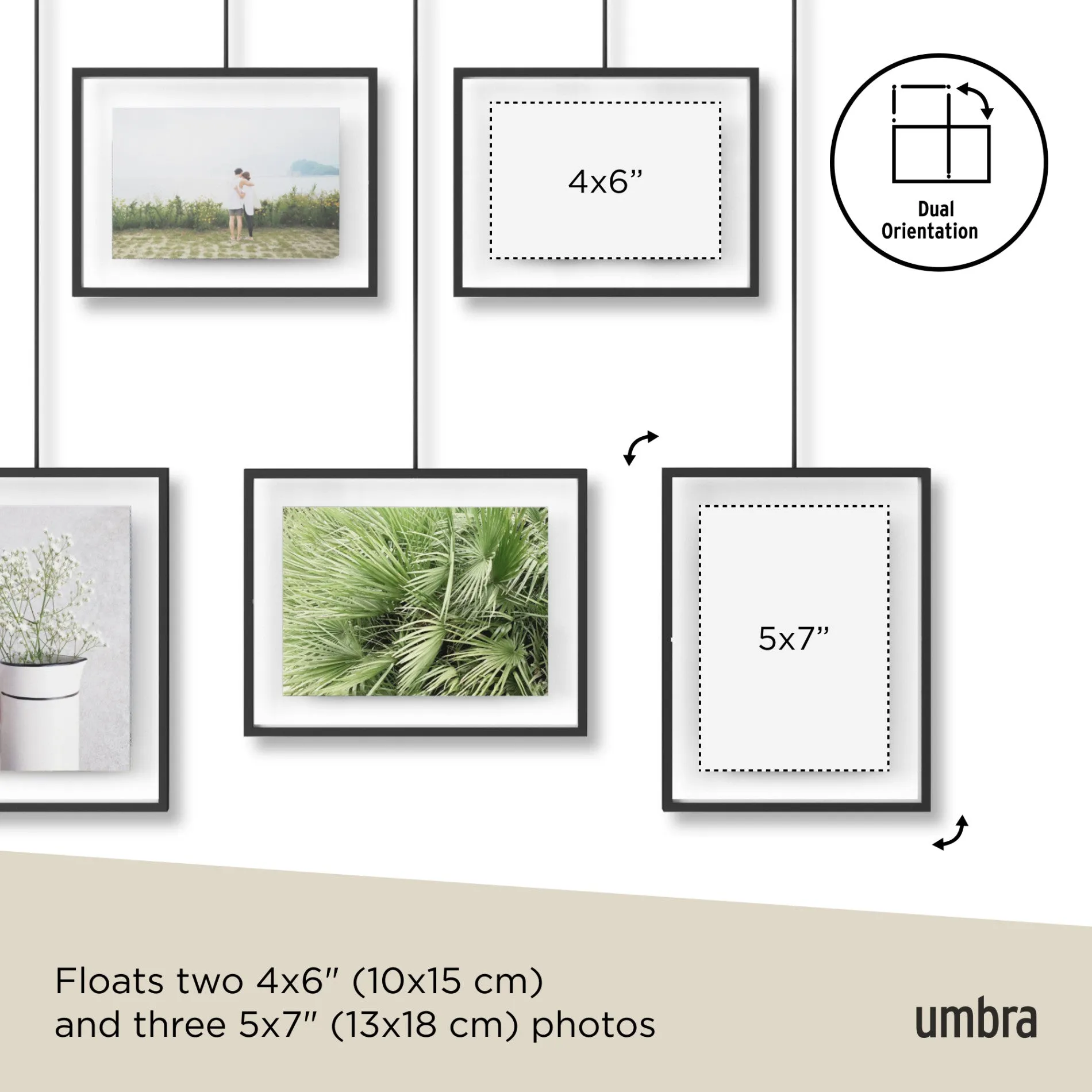 Exhibit Wall Picture Frames, Set of 5