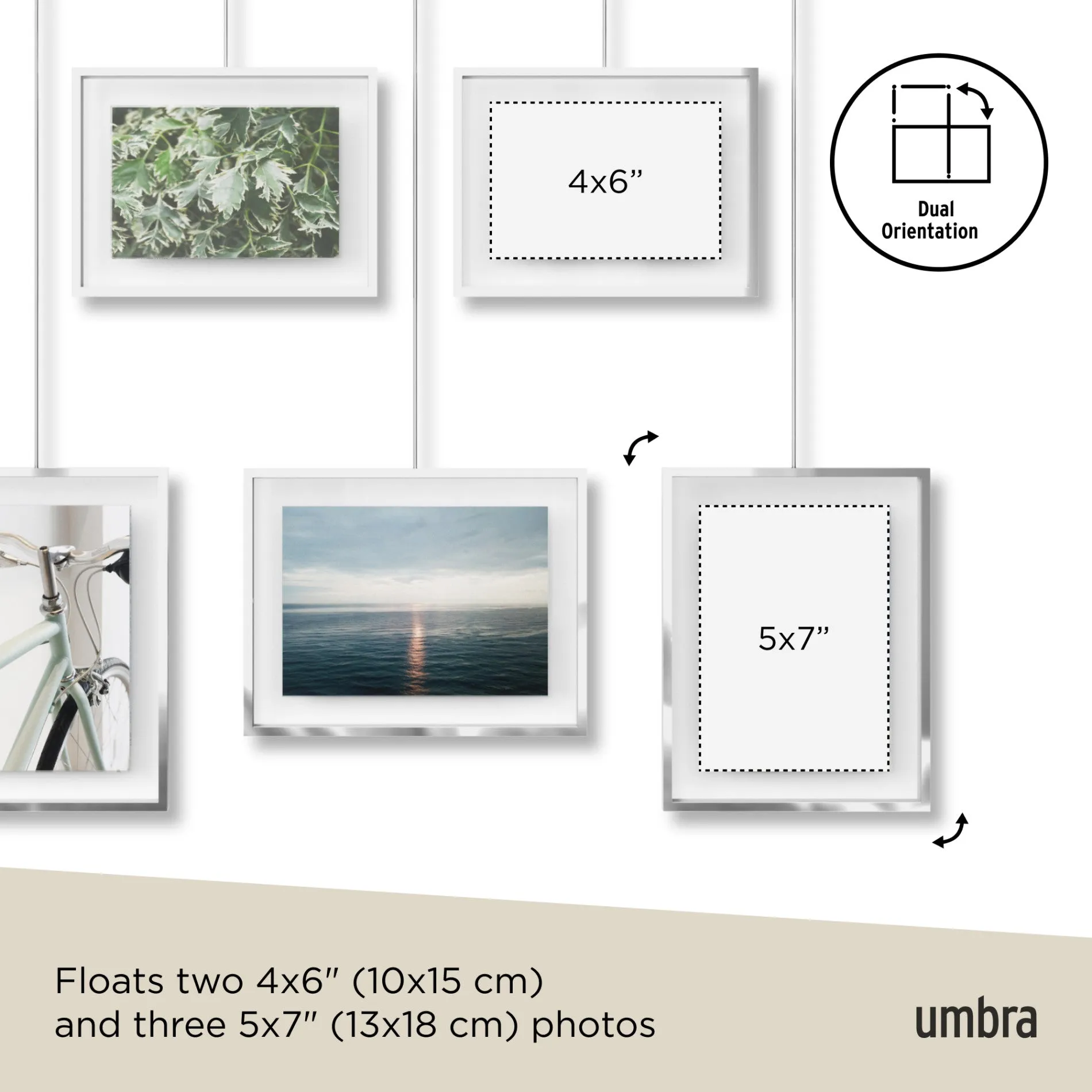 Exhibit Wall Picture Frames, Set of 5