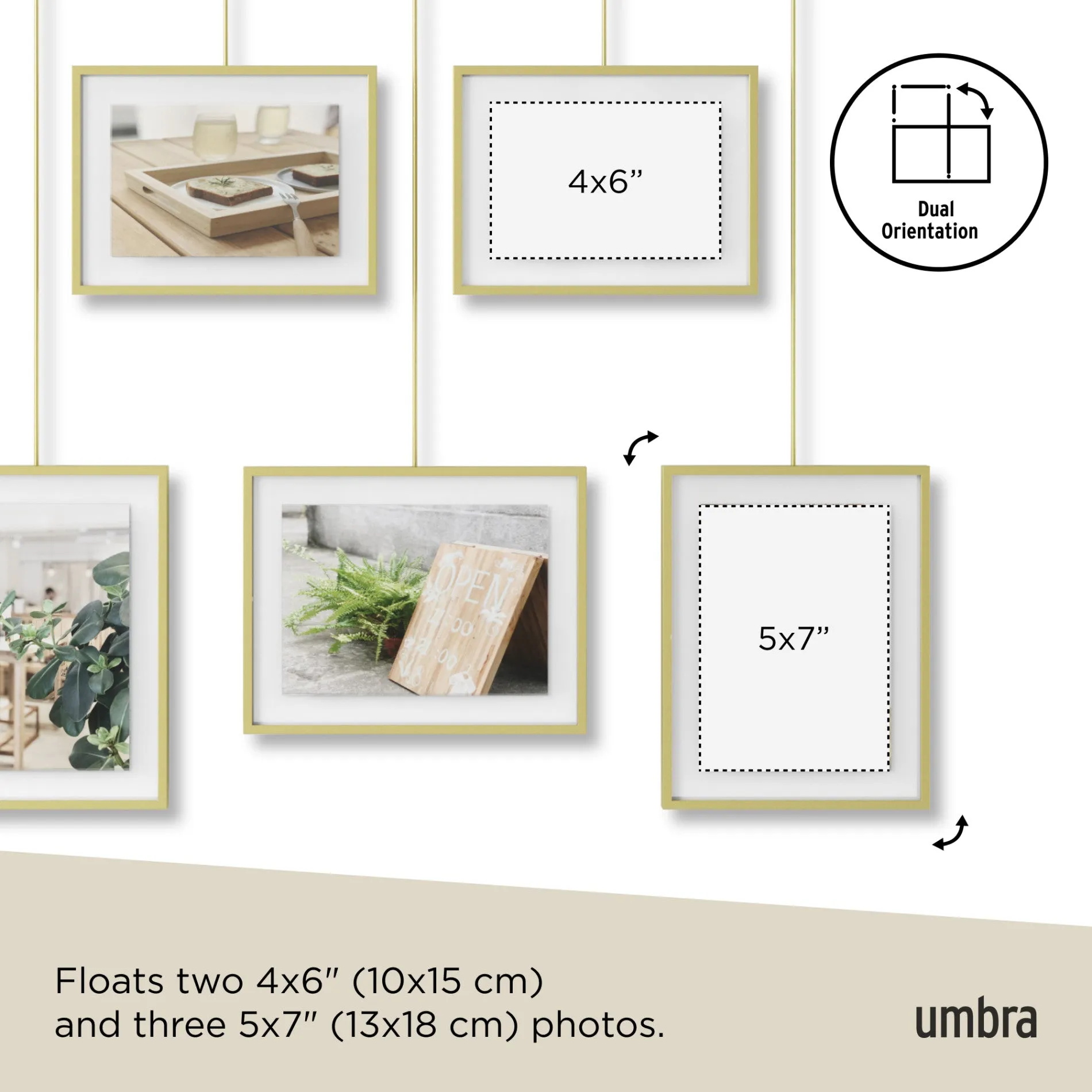 Exhibit Wall Picture Frames, Set of 5