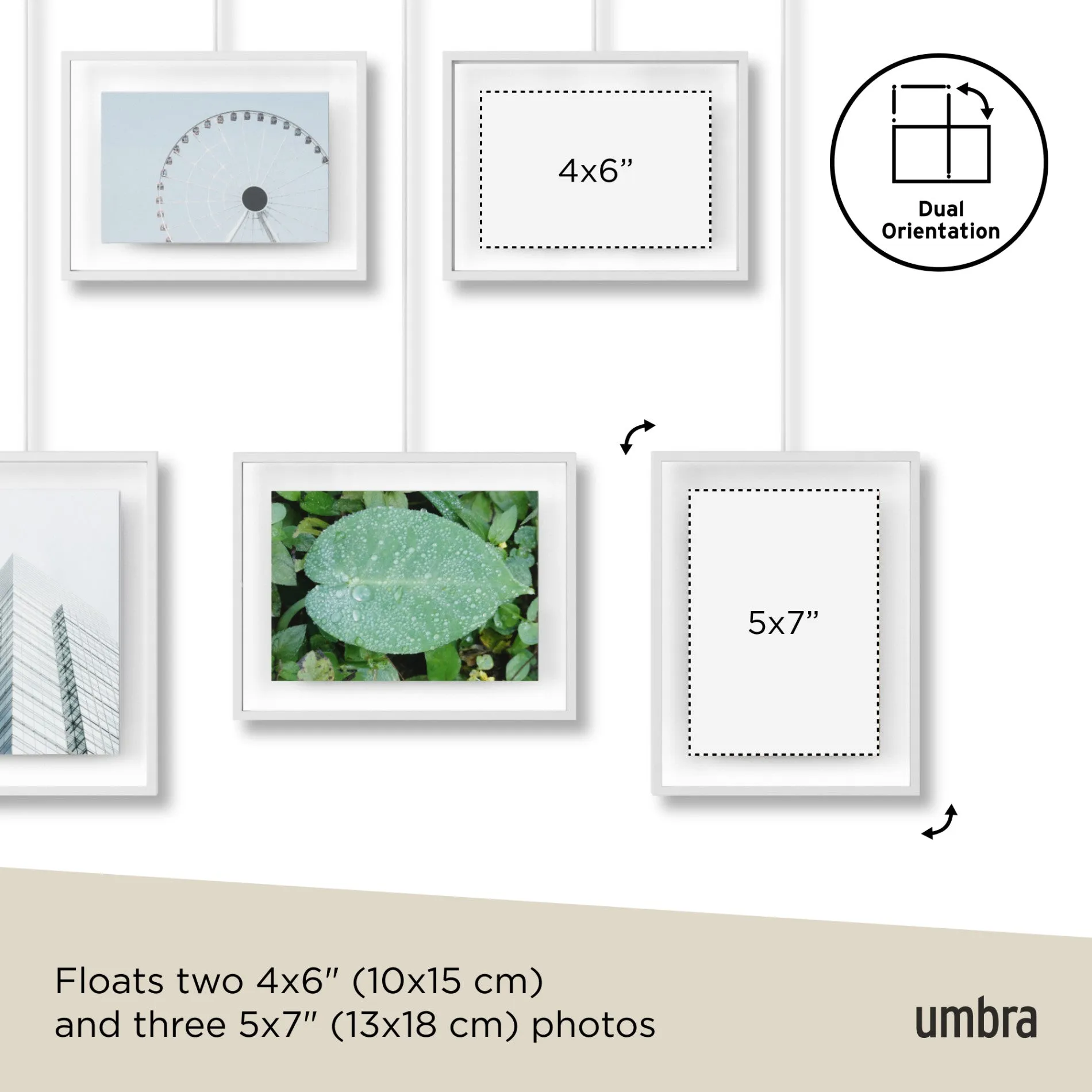Exhibit Wall Picture Frames, Set of 5