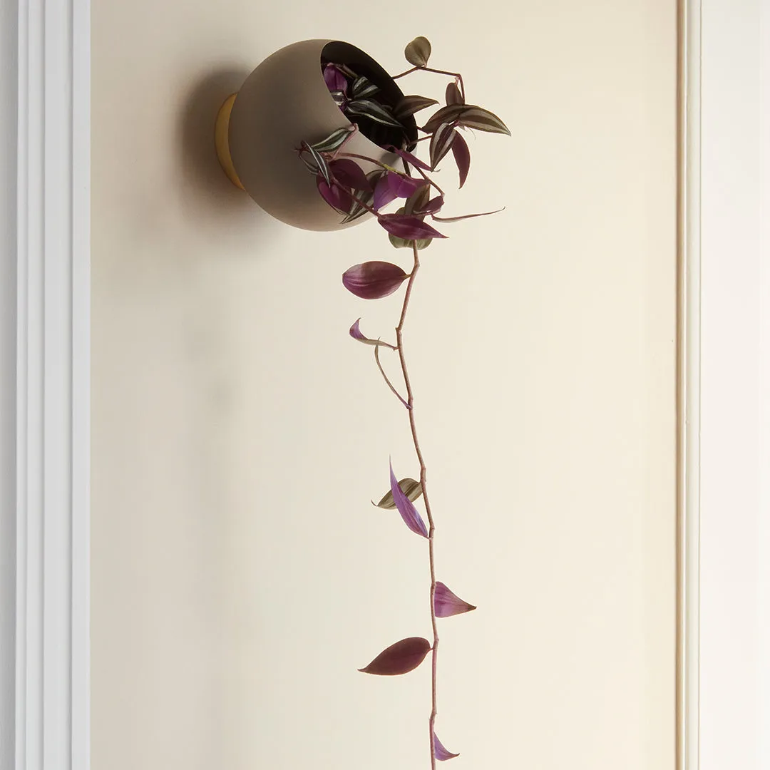 Globe Wall Flowerpot - Small (Order Quantity: 4)