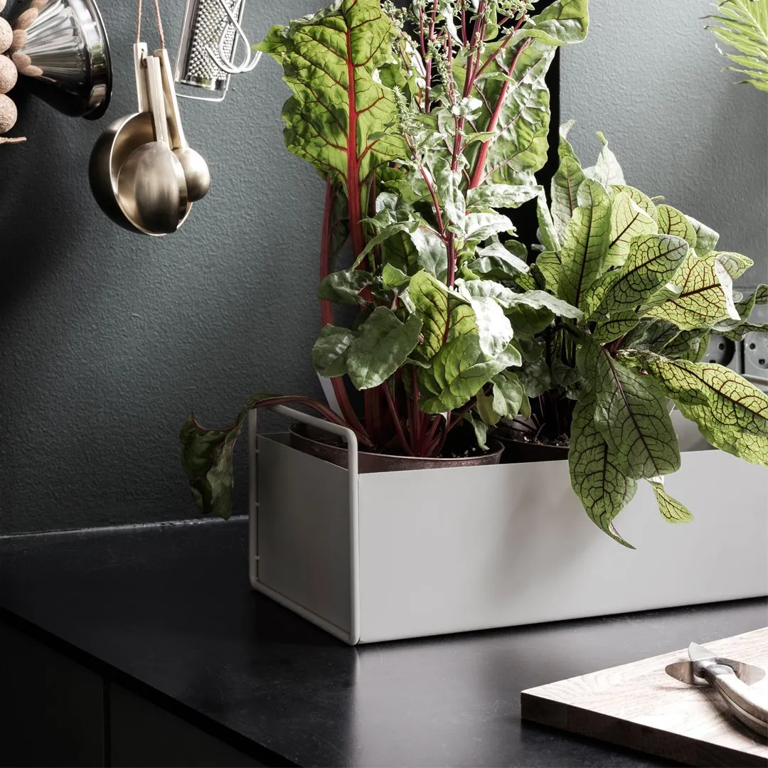 Plant Box - Small
