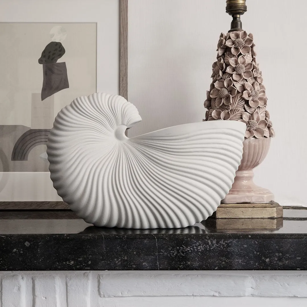 Shell Pot