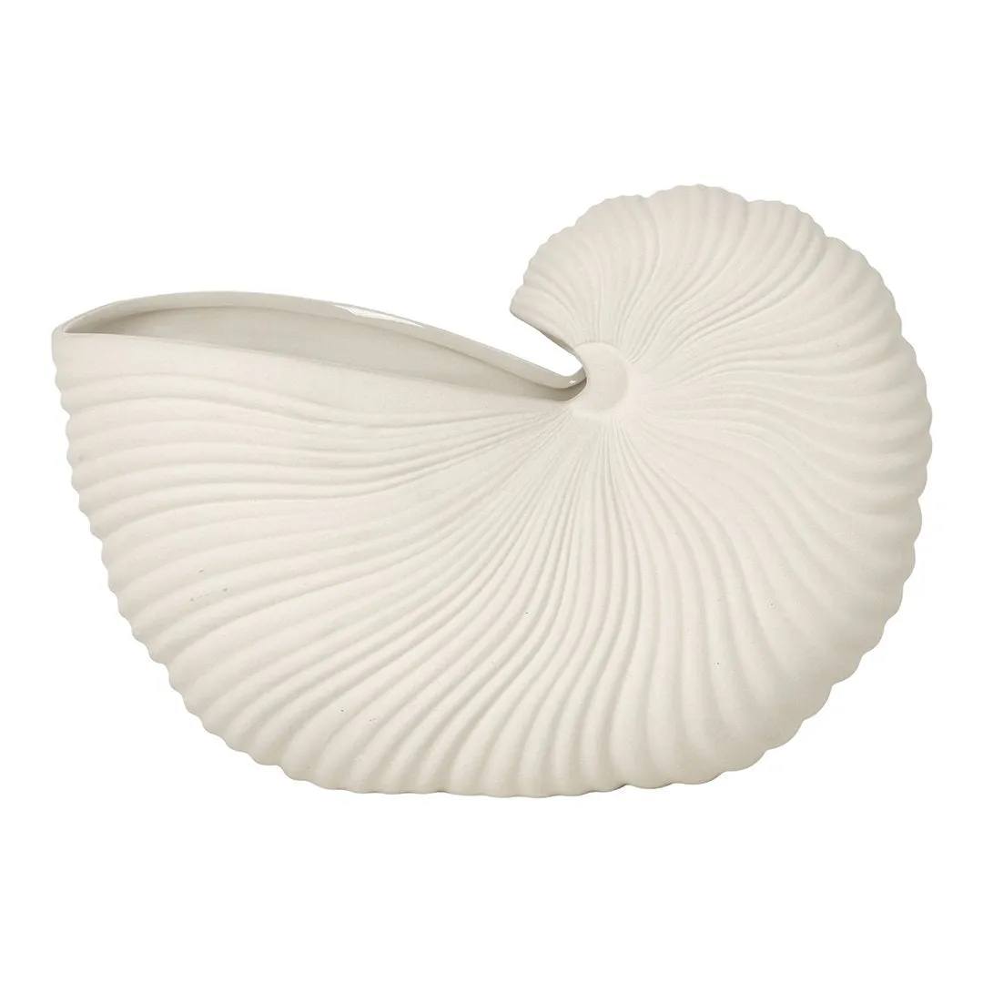 Shell Pot